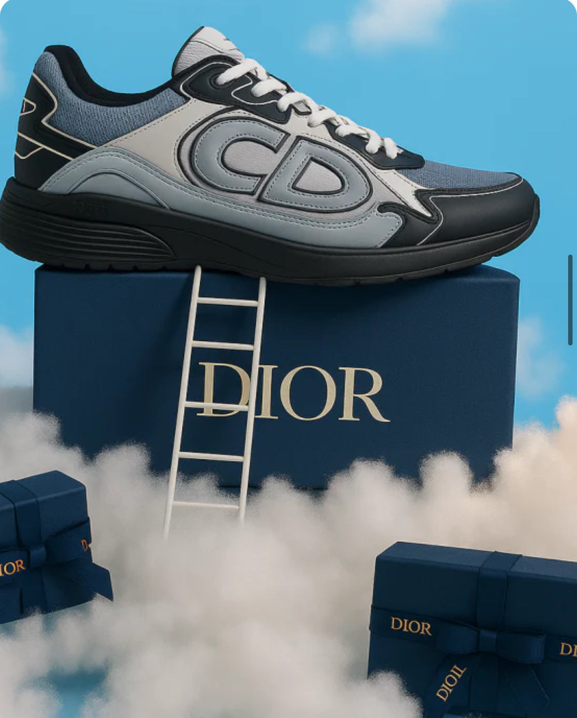 Dior B30